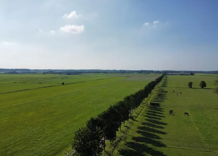 Landelijke Huis In De Betuwe